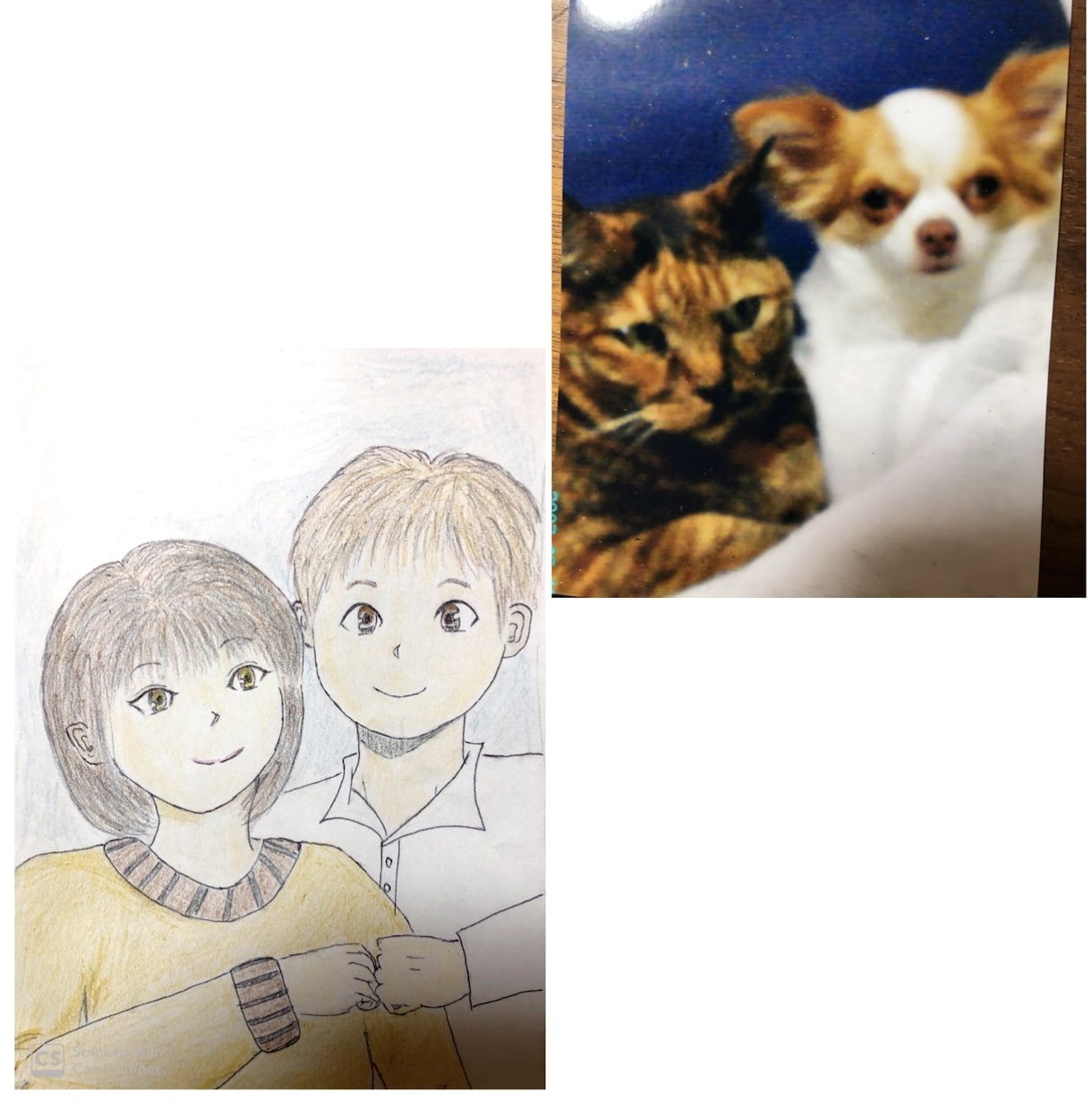 ペットちゃんからの思いをメッセージにして伝えます ペットちゃんが人間だったらどんな顔？！イラストにおこします イメージ3
