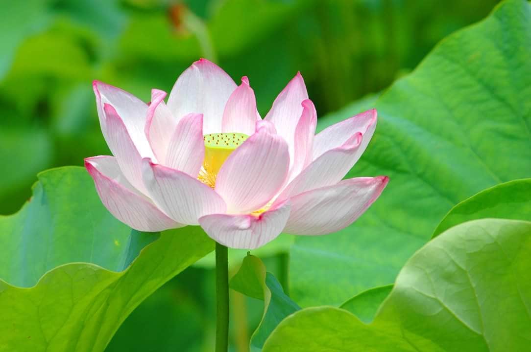 心の深層に入ります 未来。彼、彼女の本音と未来が気になるあなたへ イメージ1