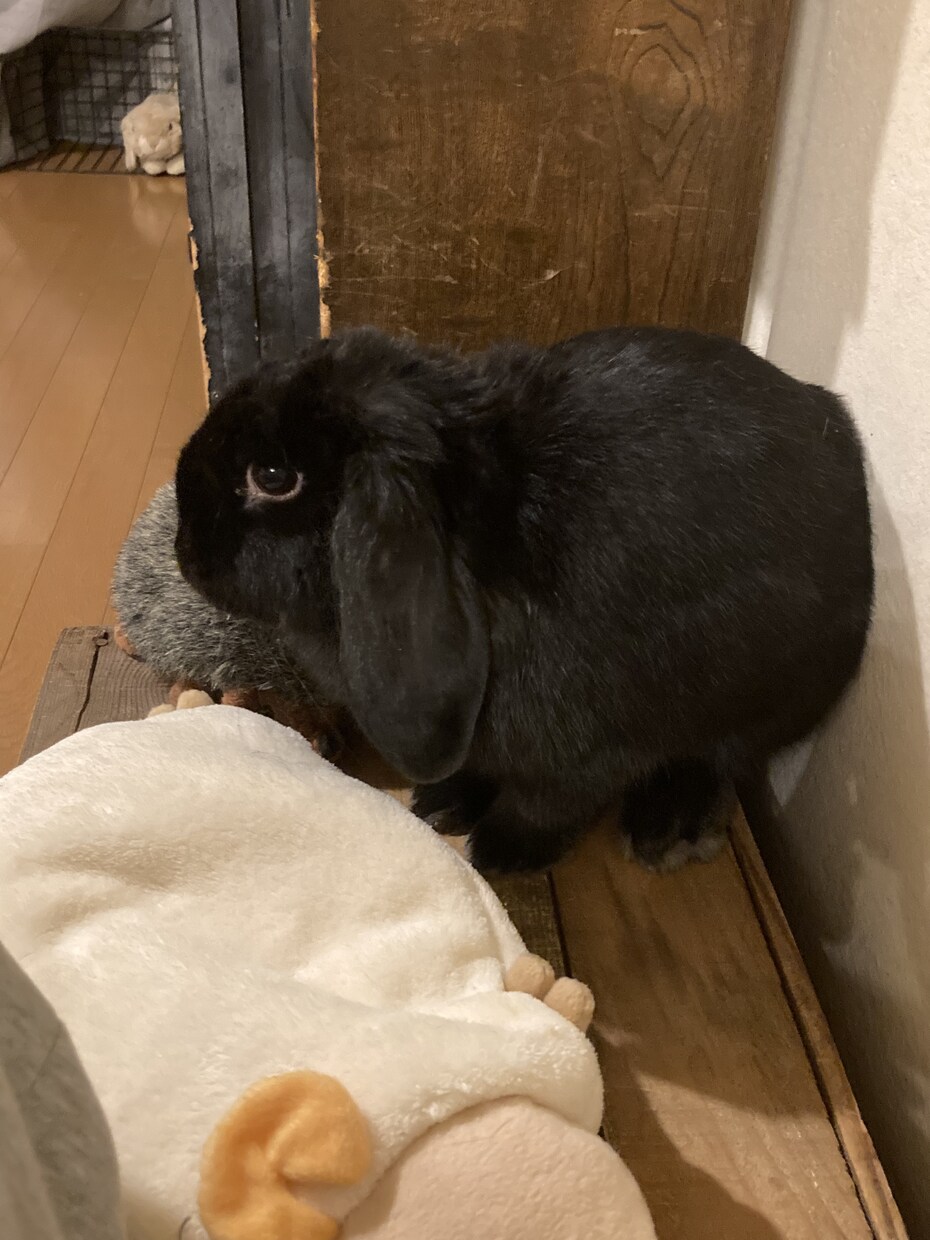 現役学生が下の目線から相談のります 買ってよかった。また話してたい。そう思えるよう努めます イメージ2