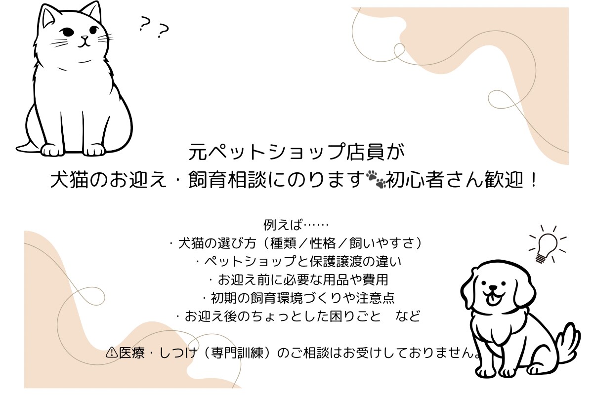 犬猫の飼育・お迎えに関する相談乗ります 初めての犬猫お迎え前の不安をまるごとサポート！ イメージ1
