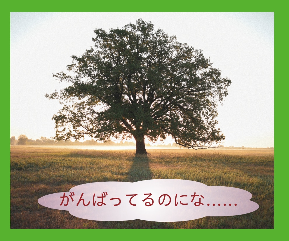 今、悩ませる問題を一緒に心理資格者が整理します こんな問題抱えてたら明日なんて向かえないよ！プロカウンセラー イメージ2