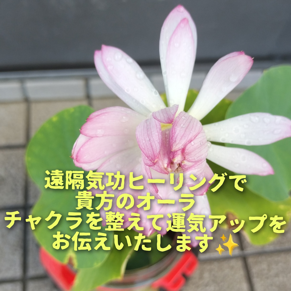 遠隔気功ヒーリング　言霊気功をお伝えいたします 遠隔気功ヒーリング　言霊気功　心身のサポートをいたします。 イメージ1