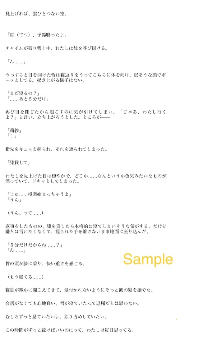 きゅん！とするあなただけの恋愛小説を作ります ！頭の中にある人物、設定を使って恋愛小説を書いて欲しい方へ イメージ2