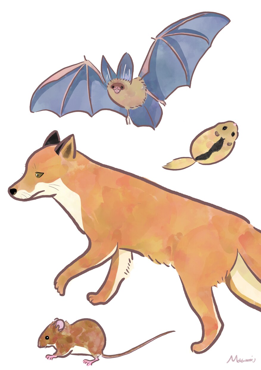 水彩タッチで動物のイラストを描きます ゆるっとシンプルに、しっかりと。動物の元研究員が制作します イメージ1