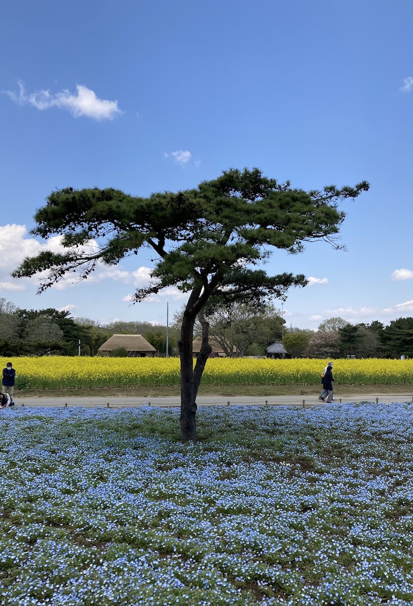 大学レベルまでの英語に関する質問に答えます →ワンポイントから質問を受け付けます！ イメージ1