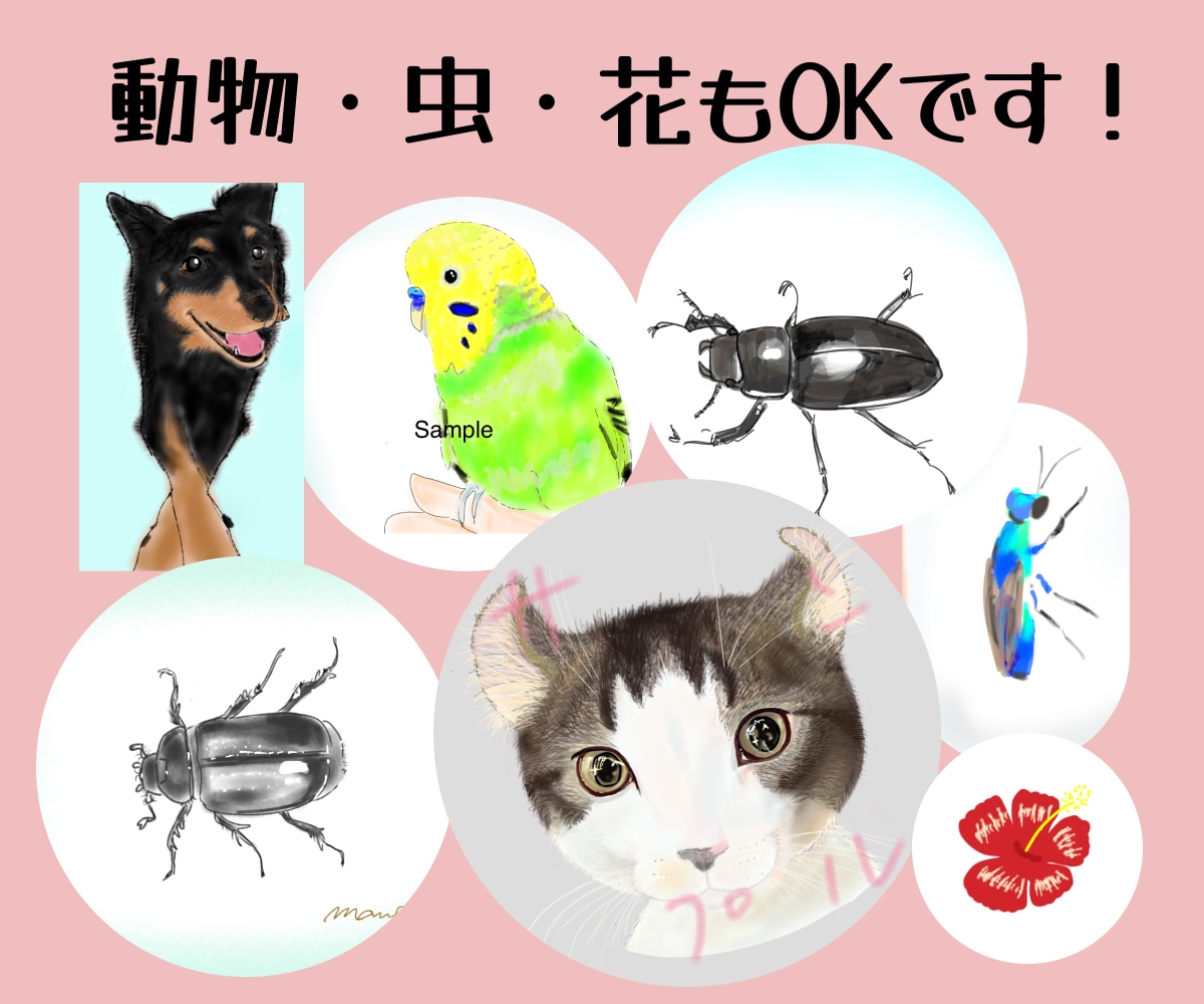 SNS・Xで使えるゆるふわアイコン描きます 選べる・タッチ色塗りでKindle出版にもかわいいアイコンを イメージ10