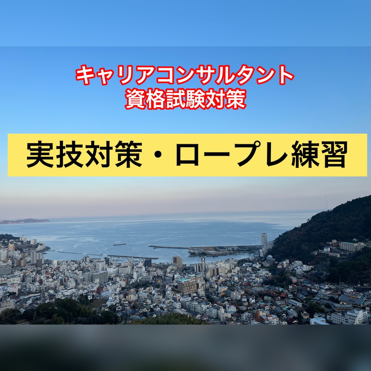 キャリコン資格試験のロープレ練習を手伝います キャリアコンサルティング協議会受験者の方向け イメージ1