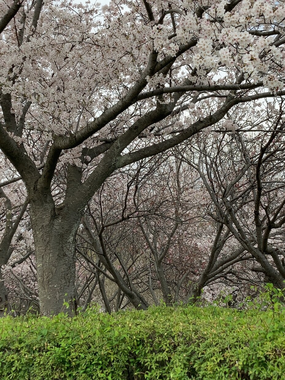 心の悩みお聞きします 周囲の人に相談しづらい話を何でもお聞きします。 イメージ1
