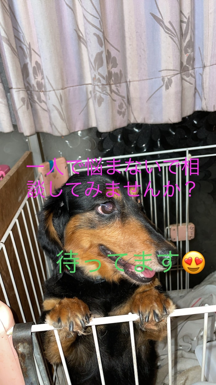一人で悩まないで(^^)愚痴聞き、相談など乗ります 話してみて気持ち的にもスッキリしませんか？ イメージ1