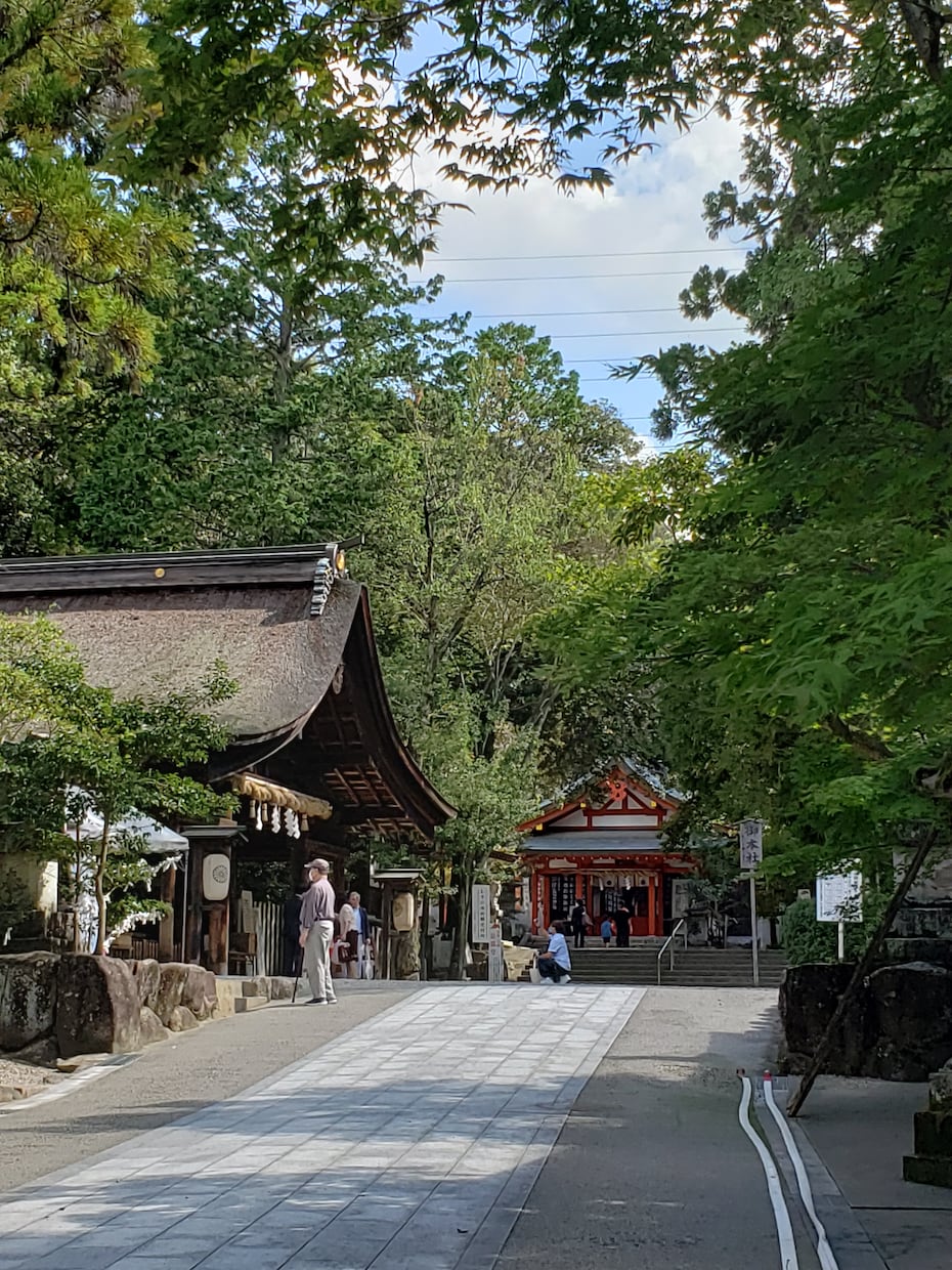 女の子がほしい・子授かり「念願成就」を援護します 龍女の念力であなたの願う力を増幅＆子宝パワースポット代理参拝 イメージ2