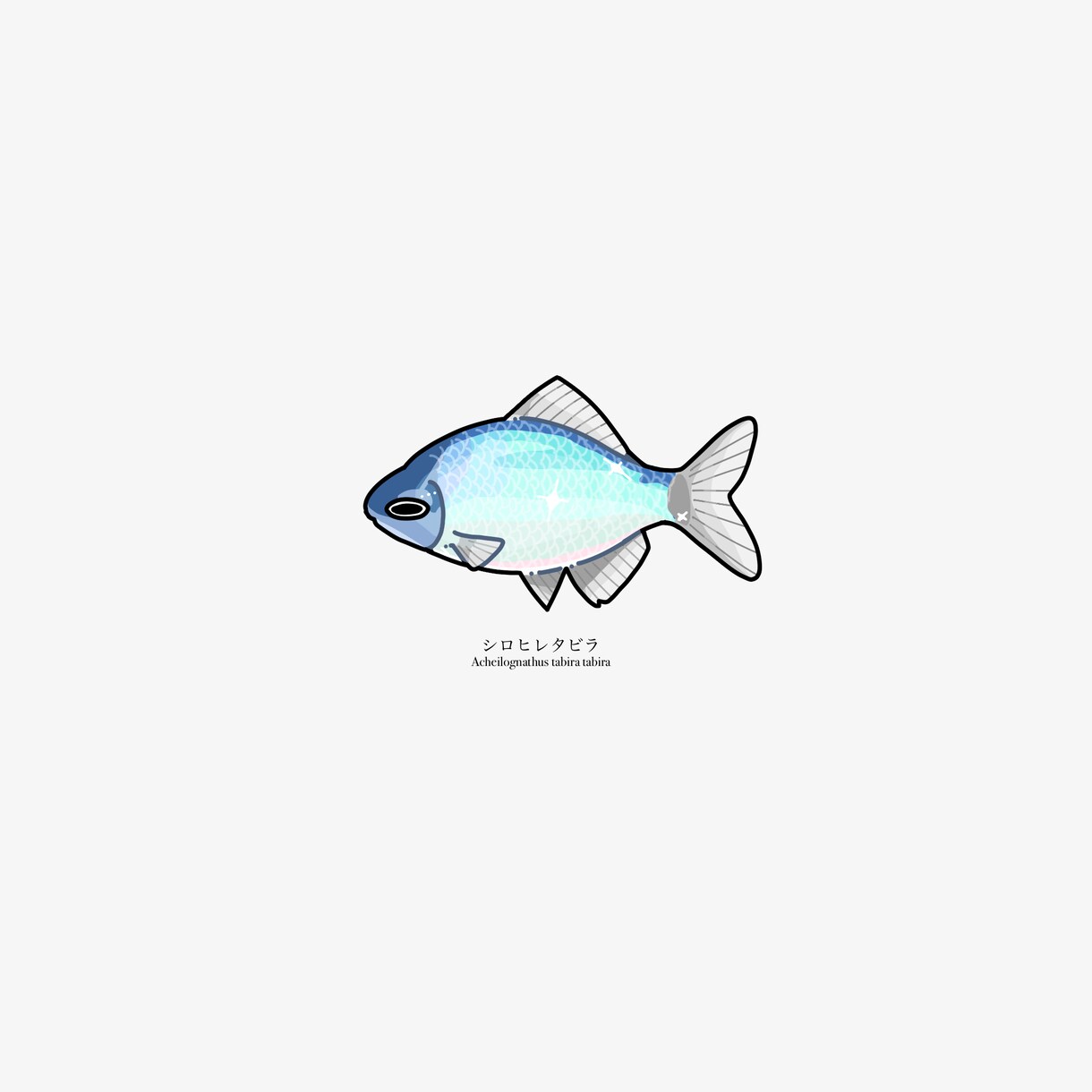 魚のイラストを作成します 魚好きがあなただけのお魚イラストを描きます イメージ7