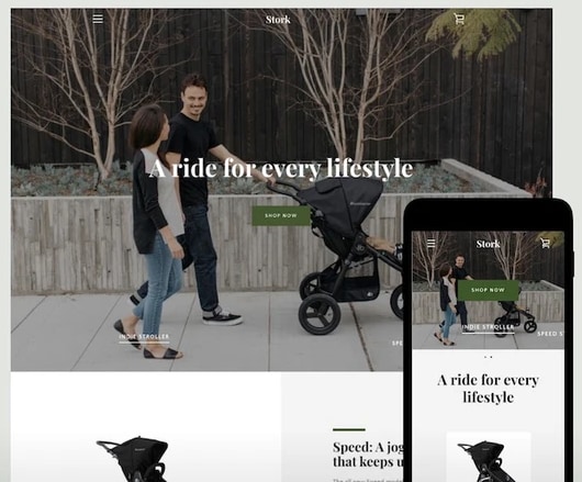 shopify公式パートナーがECサイト構築します 先着1名限定価格。あなただけのデザインでストア構築いたします イメージ8