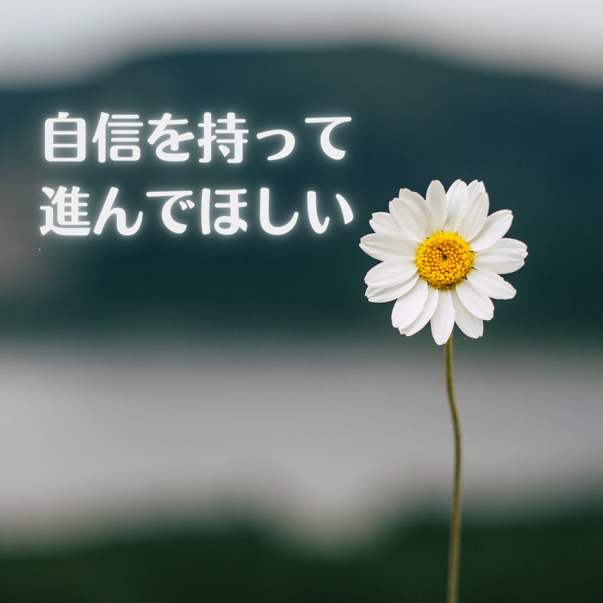 モラハラ夫が怖い/不安な毎日その悩みお聴きします どうしたらいいのか分からない！何でもOK心の不安を吐き出して イメージ7