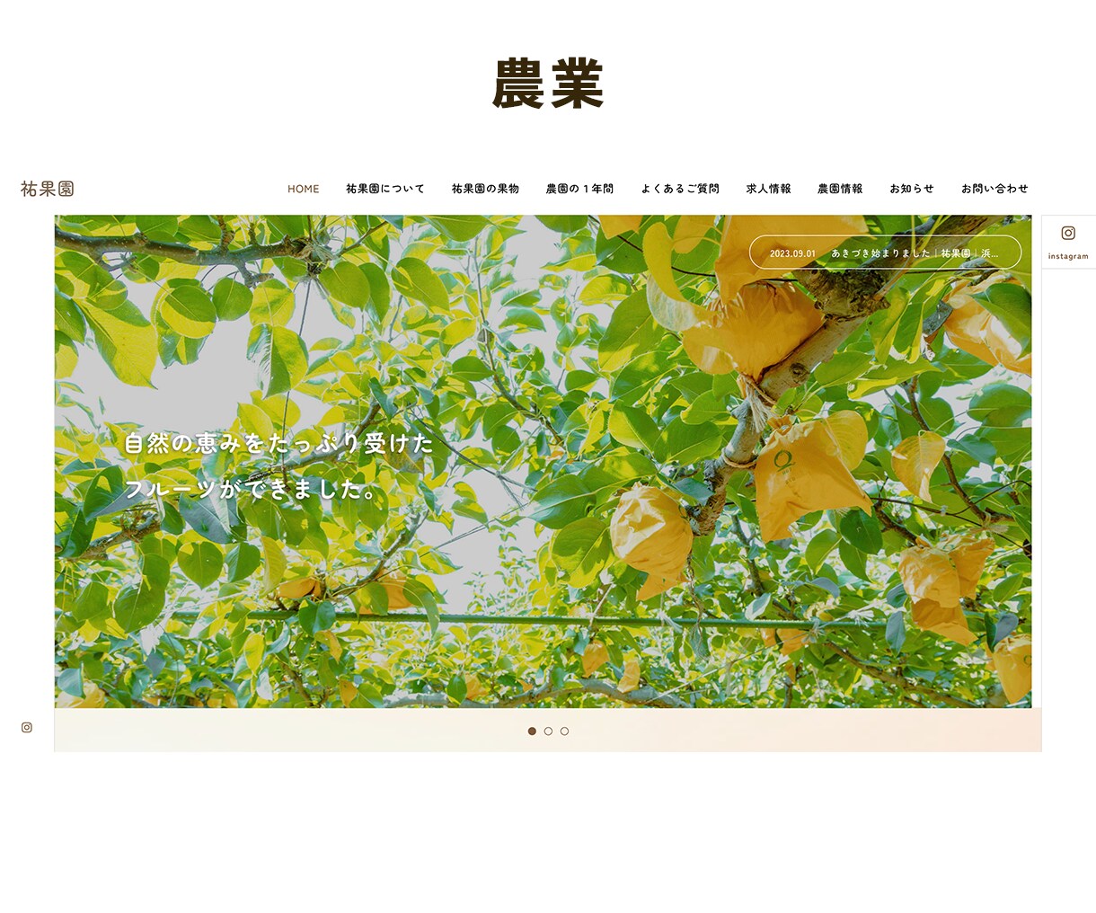 Web制作会社がコスパよく高品質サイトを制作します 【3名様限定価格！】画像もテキストも全ておまかせOK！ イメージ3