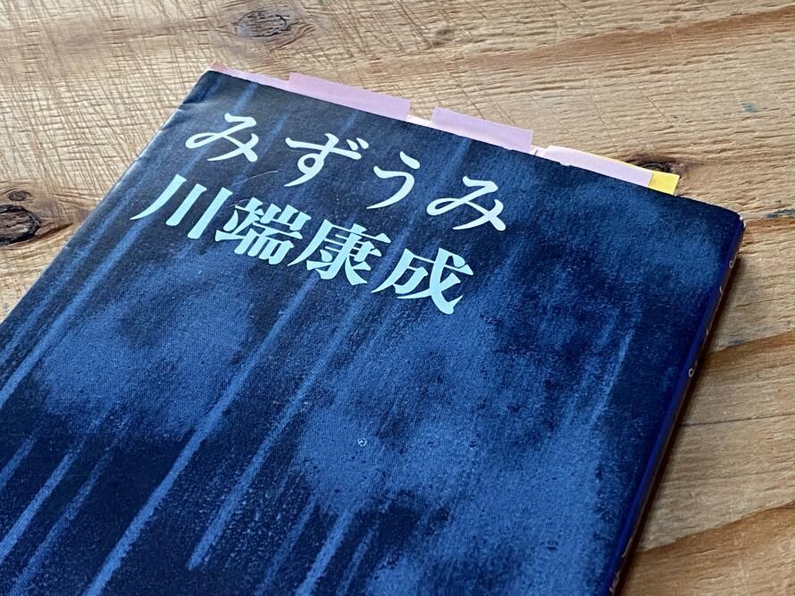川端康成の読書会！文学を基礎から学べます 川端康成の人生や作品について解説！オンライン読書会です イメージ3