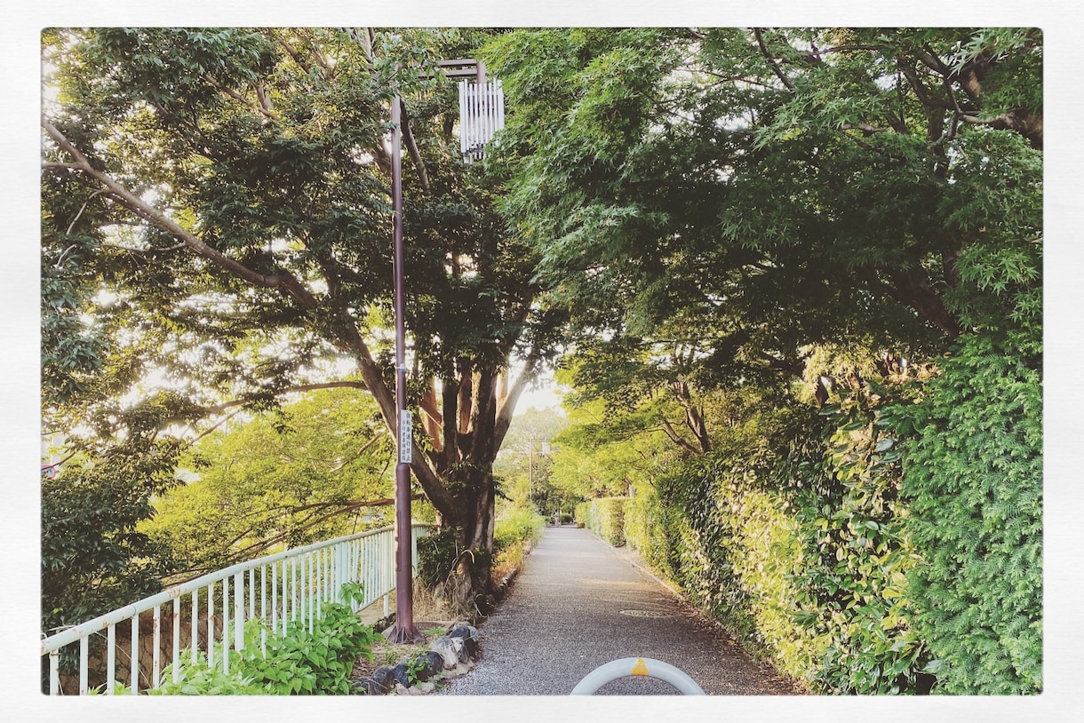 お話相手になります 誰かと話したい、誰かの声が聞きたいそんな時に寄り添います イメージ3