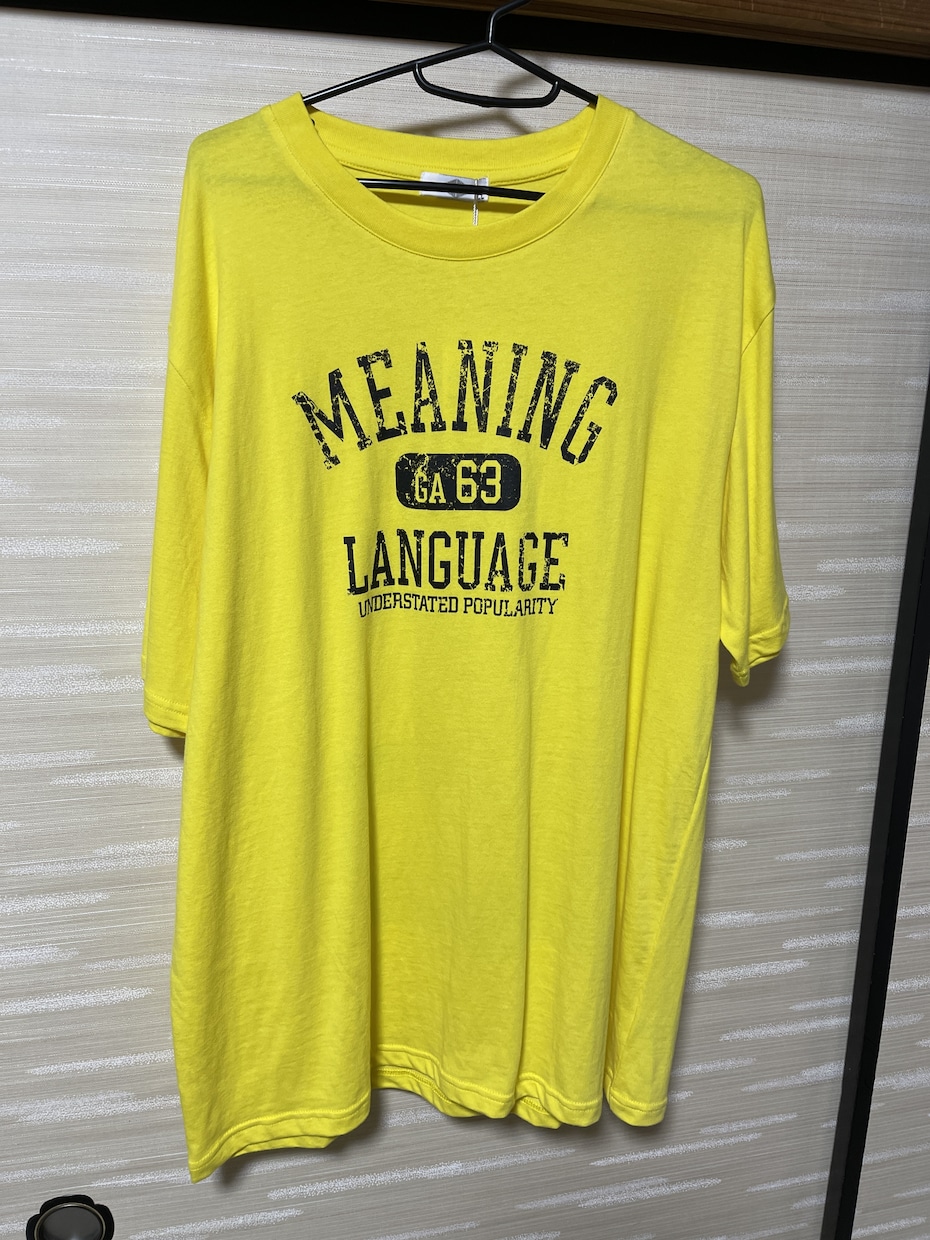 オリジナルTシャツを作ります オリジナルの写真やイラストをプリントいたします。 イメージ3