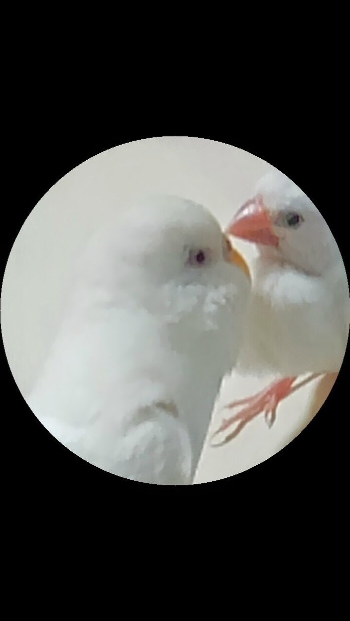 引きこもり　孤独　色々聞きます ピアサポーターです。精神疾患、ワンオペママ、家族の悩み イメージ1