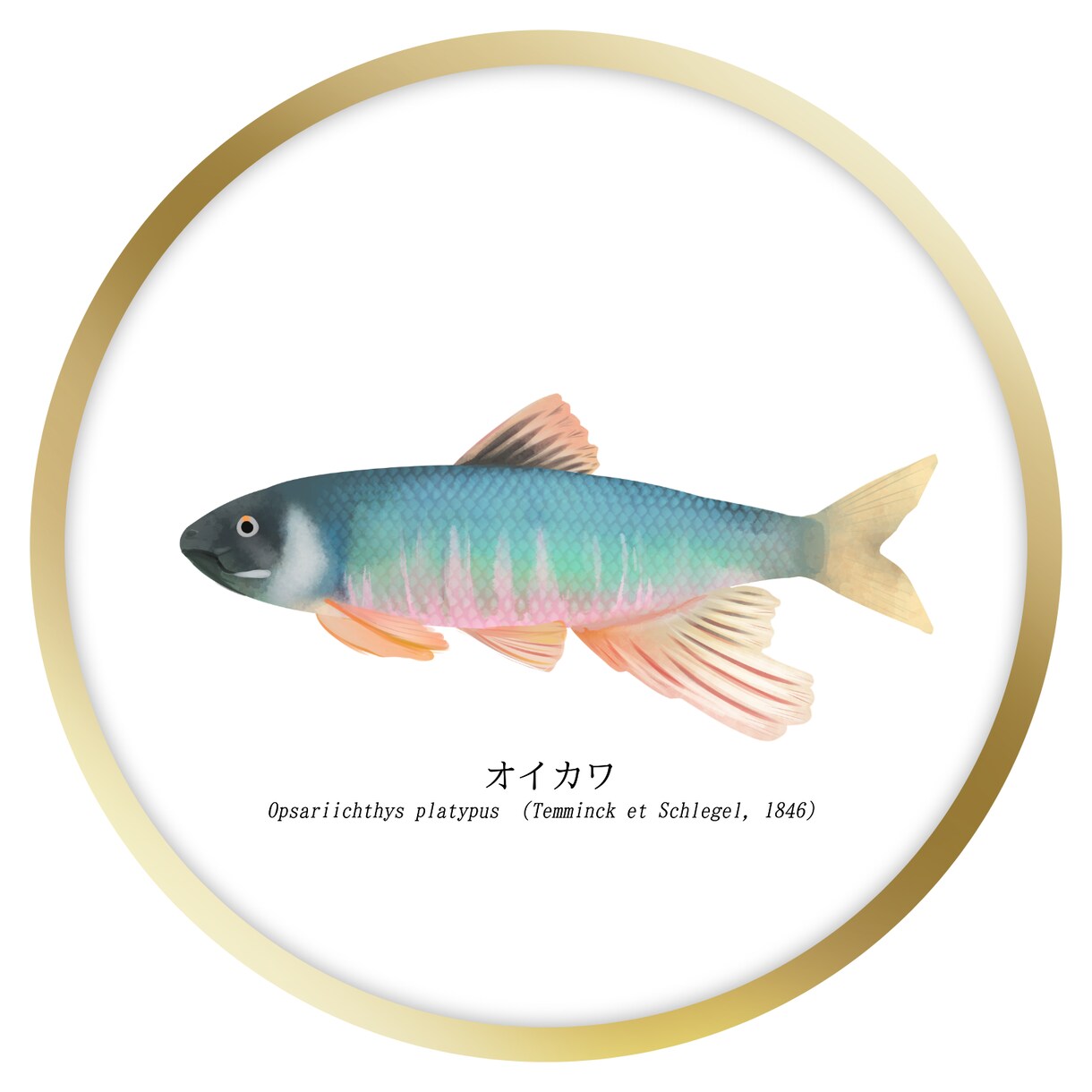 生き物特化のイラスト制作します ライブ外納品をご希望の方はこちら！ イメージ8