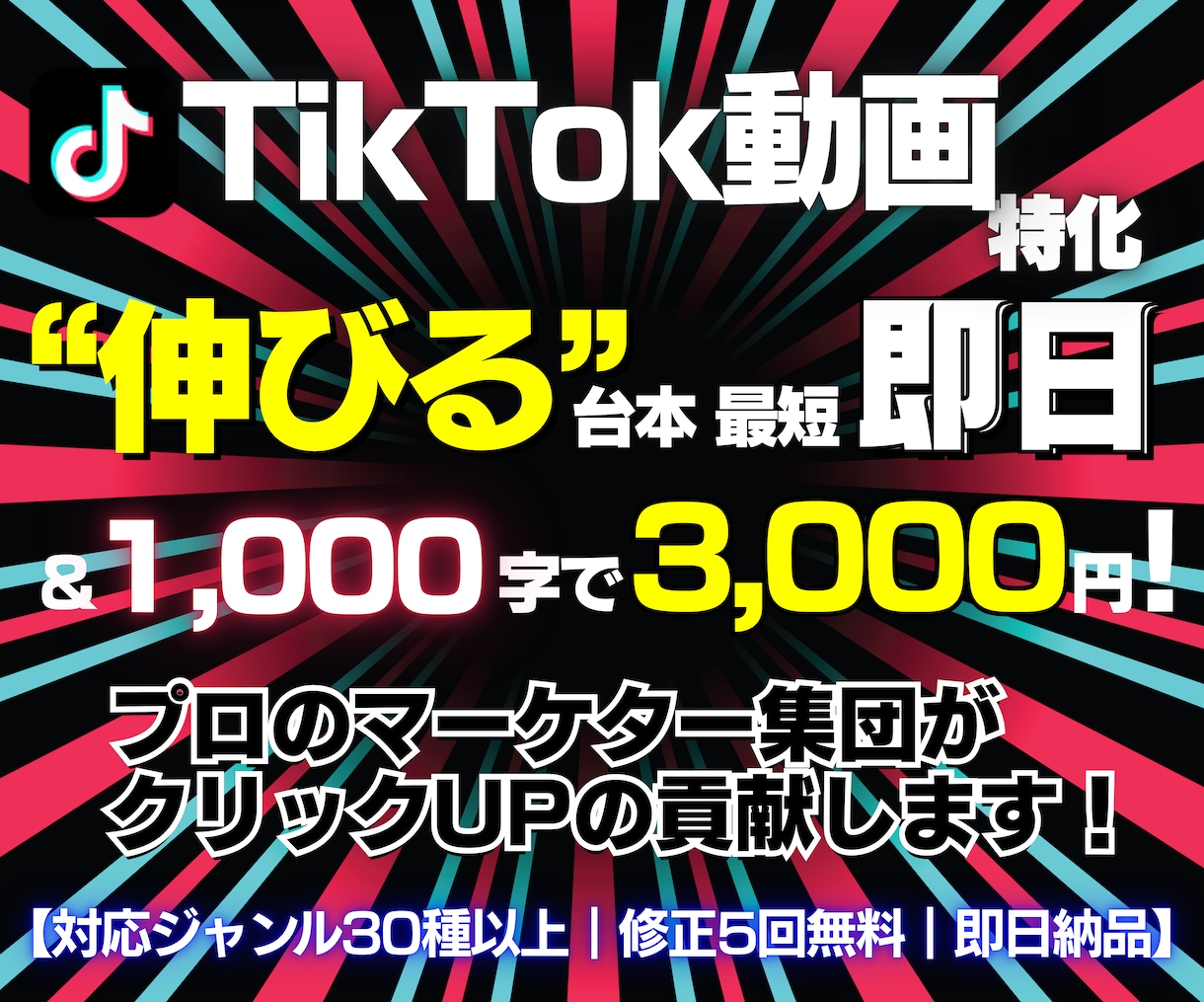 TikTok売れる台本最短即日プロが作ります マーケターが”バズる構成”を完全サポート！修正５回無料！ イメージ1