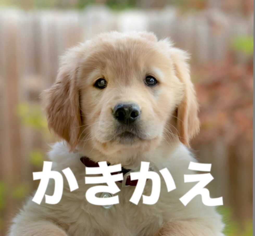 不要な無意識の思い込みを見つけて「かきかえ」ます 思考パターンを変えると現実が変わります！ イメージ3