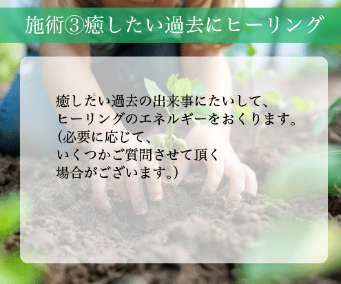 人生を困難にする原因のインナーチャイルドを癒します 幼少期のトラウマや毒親克服、前進を妨げる過去を解消 イメージ6
