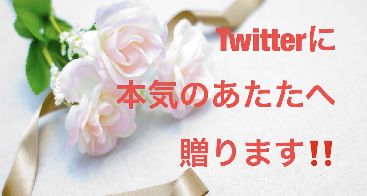 2週間！！徹底的にTwitterコンサルします 1日2ツイートだけでフォロワーを増やす㊙︎テクニックとは！？ イメージ2