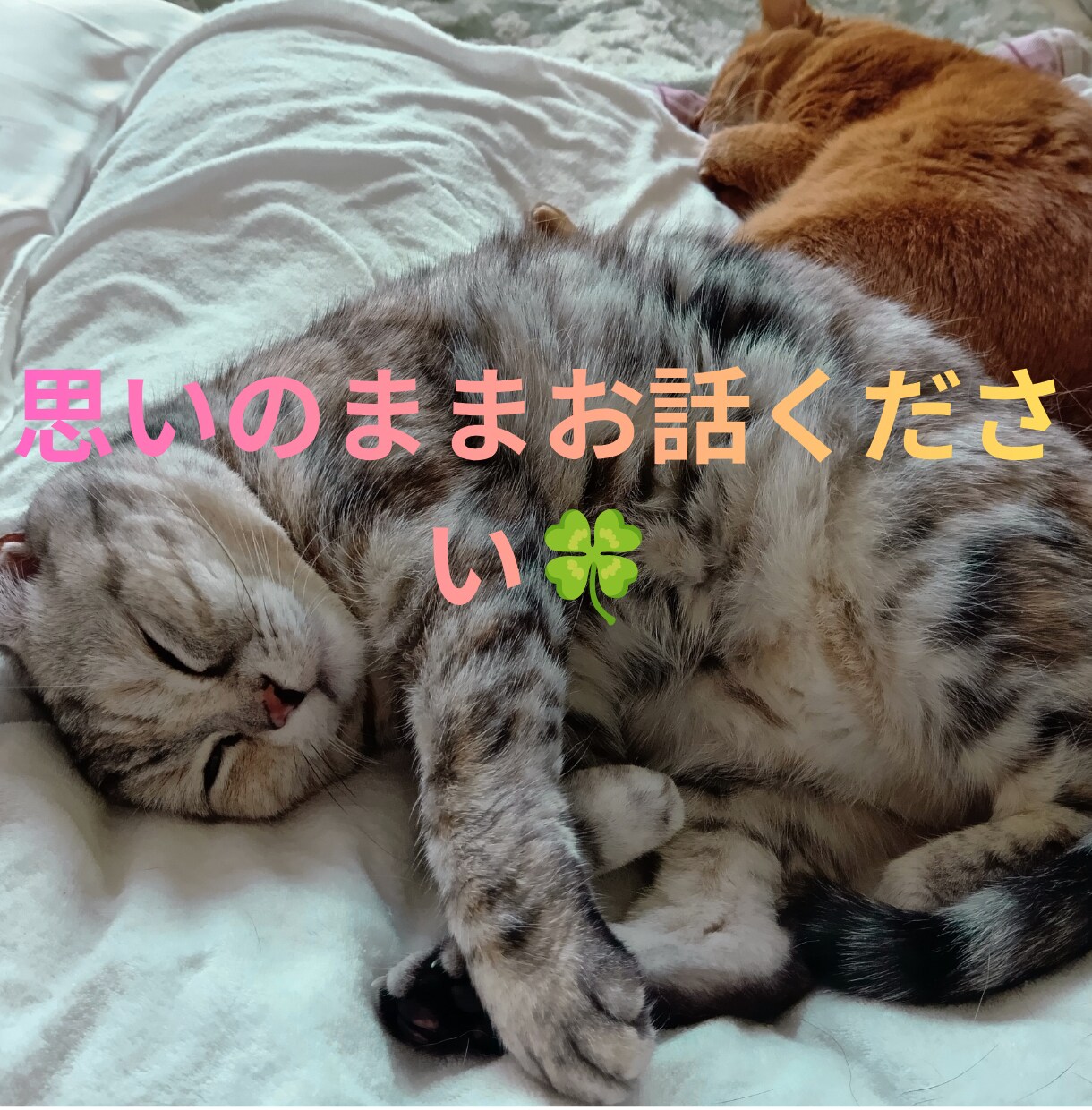 傾聴★あなたの今聞いて！！を全て受入れます 傾聴のプロとして否定批判アドバイスの押付け一切いたしません イメージ7
