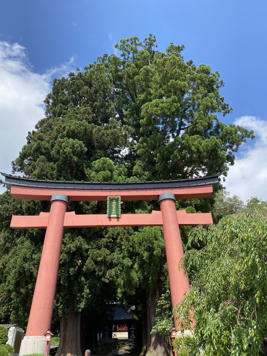霊感＆タロットカードを使い占います あなたのお気持ちに寄り添いお話します。私にコールして下さい。 イメージ5