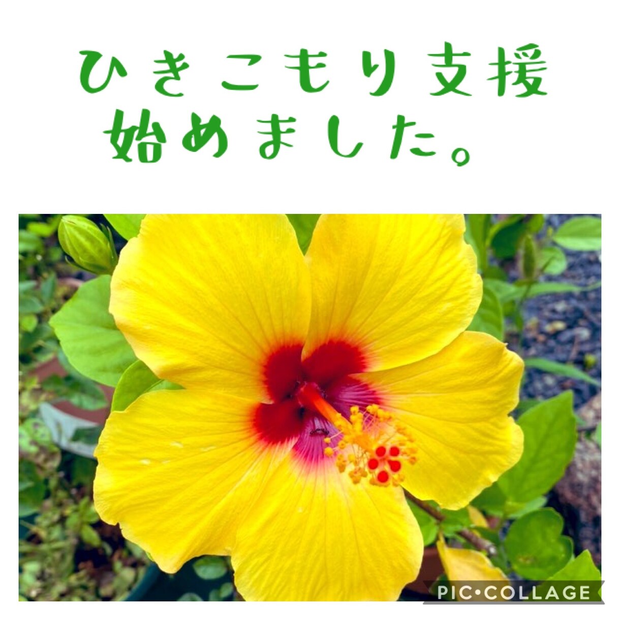 お母さんに話たいこと、聞いてほしいこと聞きます 本当はお母さんに聞いてほしい、伝えたいことを代わりに聞きます イメージ9