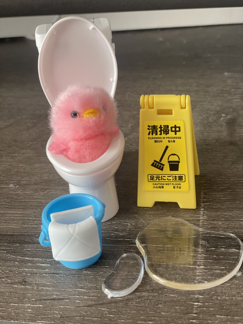 スマホで呼べる掃除の先生！面倒な掃除を終わらせます 自己流はもう卒業✨プロの頭を借りて、最速で帰りたくなる部屋に イメージ9