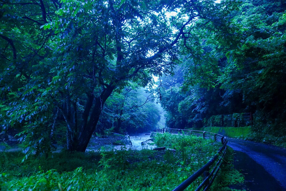 写真加工致します 撮った写真を綺麗に見やすく、興味惹かれる写真に加工致します。 イメージ2