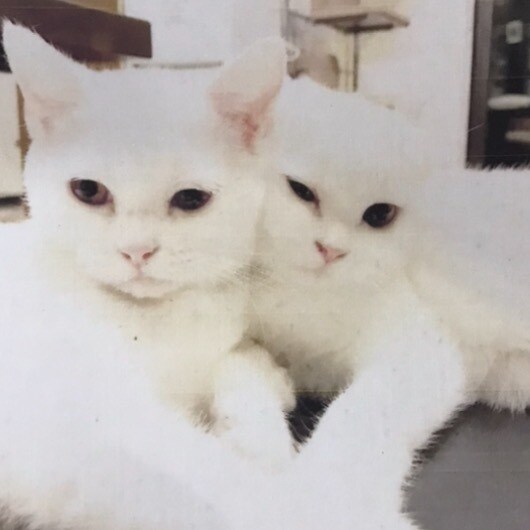 私にどーんと甘えてください！優しく受け止めます 大人でいることに疲れてしまったあなたへ。 イメージ6