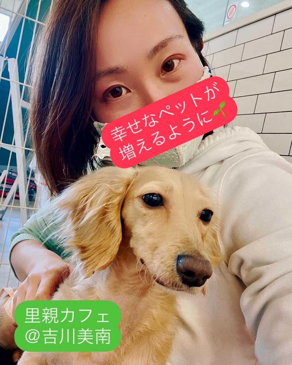 オンラインしつけ相談をします ペットとより良い暮らしに！しつけ教室の前にご相談ください！ イメージ2