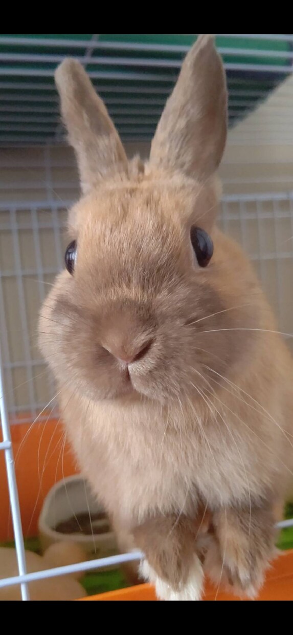 どんな小さな愚痴でも聞きます 心の中の想いを話してスッキリしましょう！ イメージ1