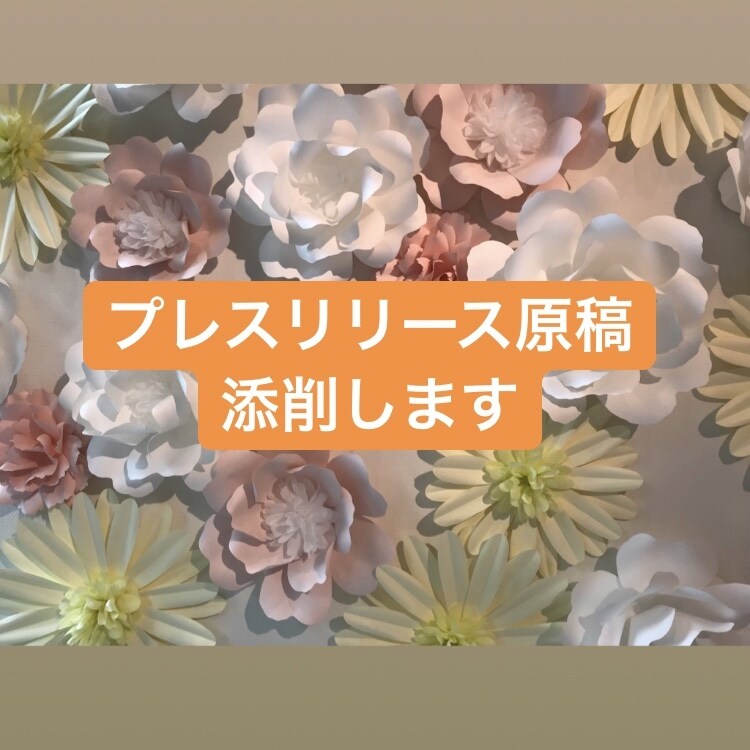 現役広報がプレスリリースの添削をします BtoC広報を始めたい方におすすめ！ イメージ1