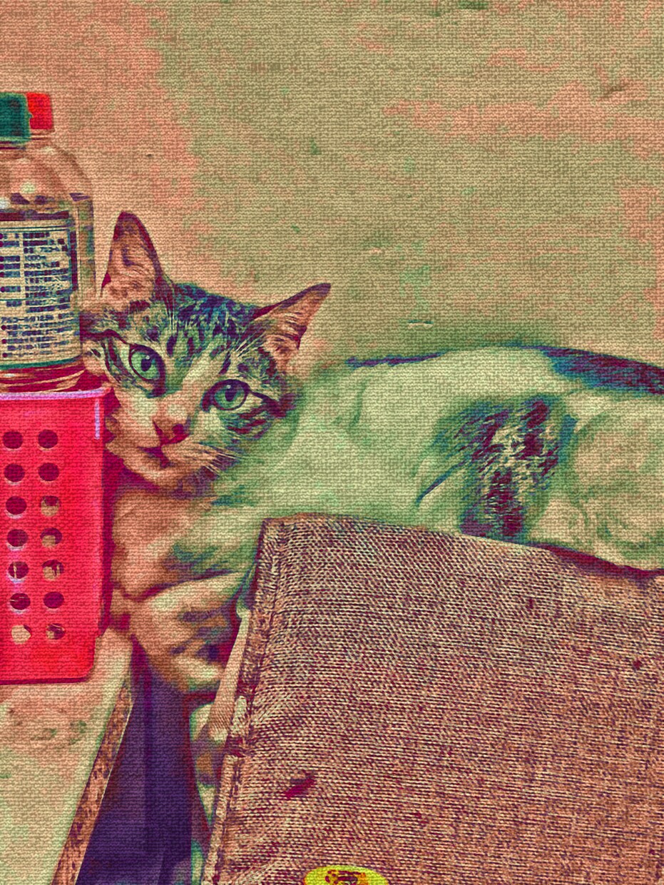 動物・食べ物の写真からイラスト作成致します 2枚目無料！即日仕上げ可能です♪メニューやトプ画にも！ イメージ5