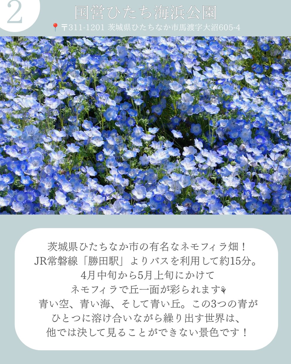 Instagramのフィード投稿画像を作成します サムネイルやフィード投稿をまるまる作成 イメージ4