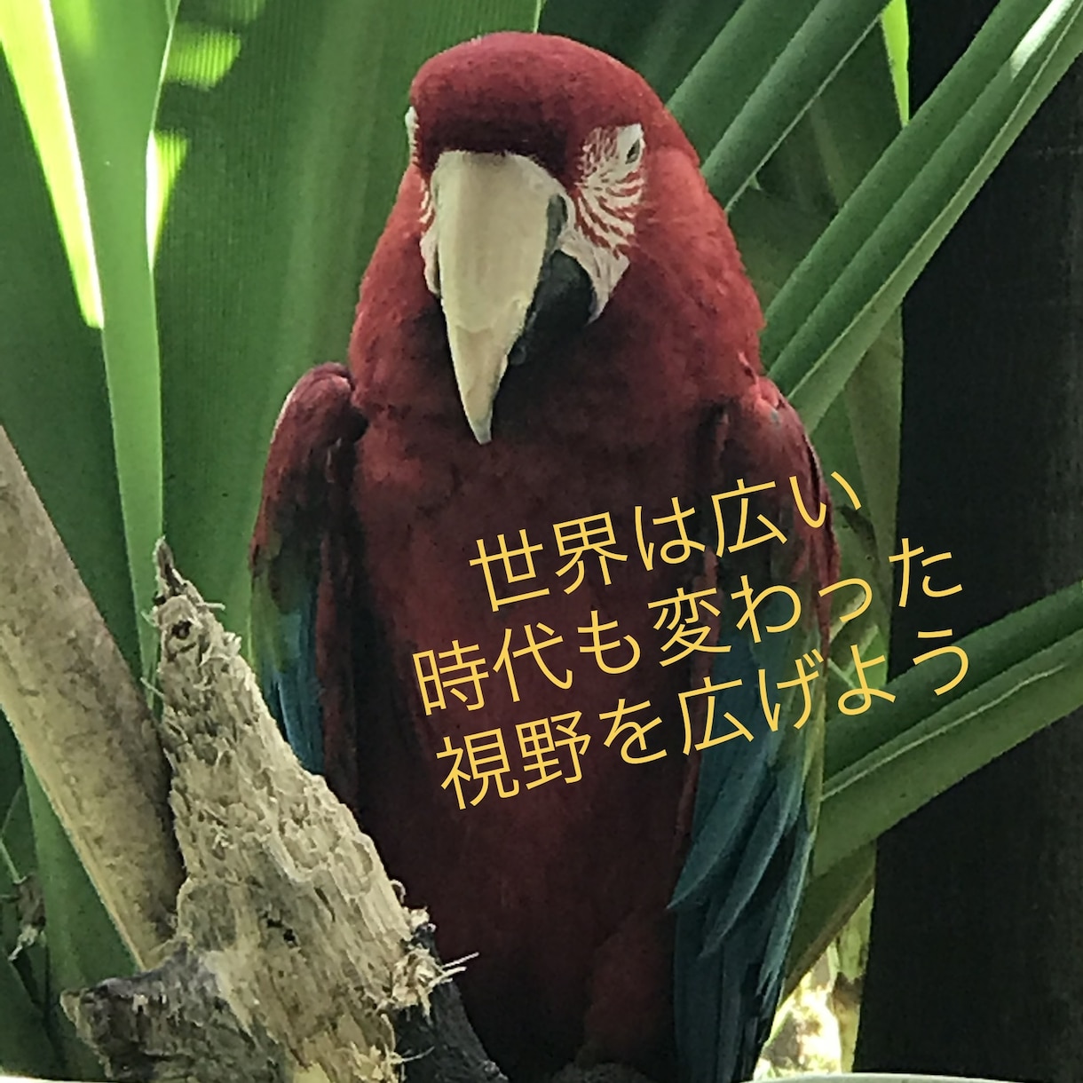 不登校･起立性調節障害･いじめ  解決策提案します 教師歴22年･我が子不登校経験有･メンタルトレーナー資格 イメージ4