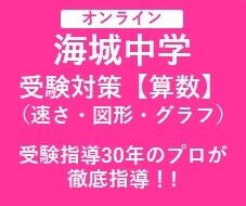 プロが「海城中学」受験の対策指導（算数）をします 【特別指導】速さ・図形・グラフ問題（ダイヤグラムを含む）など イメージ1