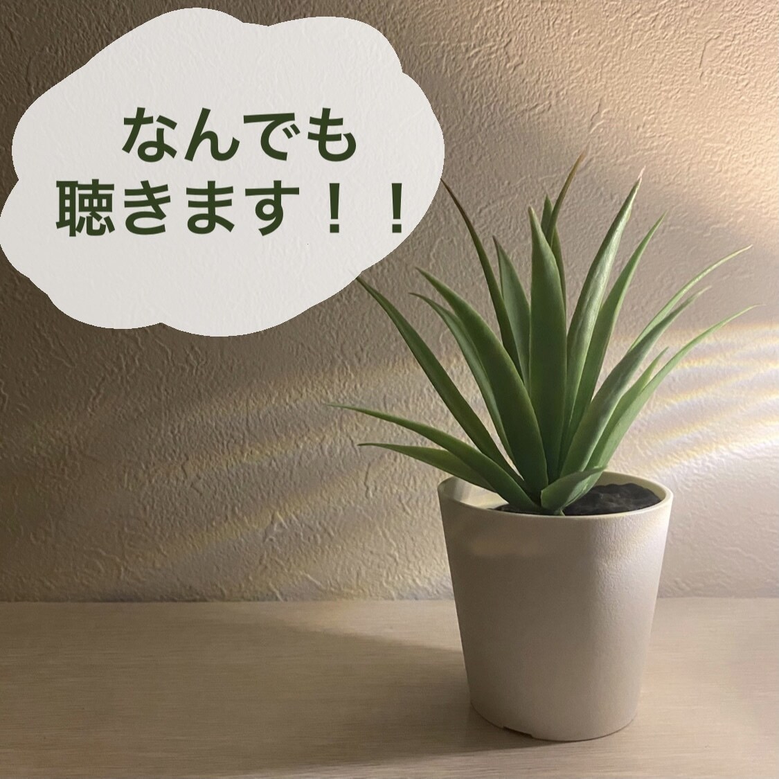 なんでもお話聴きます お惚気や愚痴など、なんでも聞きます。 イメージ1