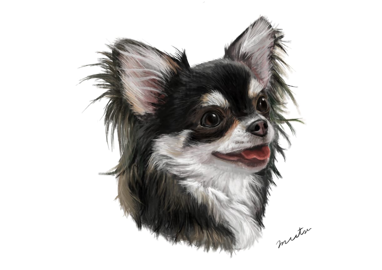 可愛いペットイラストを描きます 絵の具のタッチであたたかみのあるイラストです イメージ2