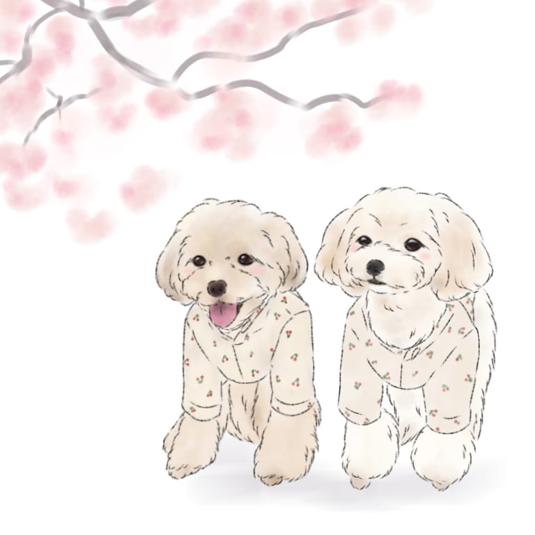 お写真を元に線画イラストを描かせていただきます 写真もいいけど、イラストでしか出せない魅力を〜 イメージ5