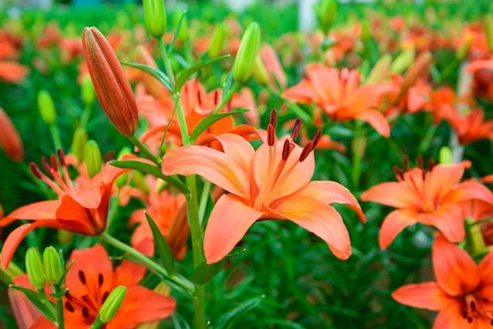トークと占いで1日寄り添います あなたの悩みを吐き出してください。 イメージ1