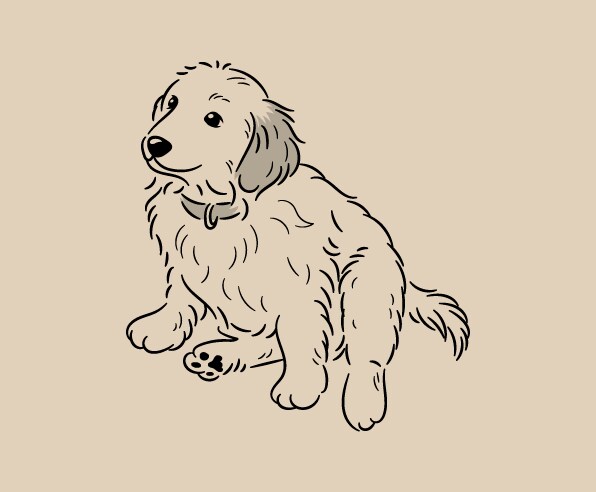 わんちゃん限定！愛犬を可愛いゆるい線画で描きます あなただけのシンプルで可愛い、ほっこり癒される線画イラスト✨ イメージ3