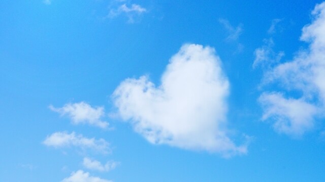 あなたの言葉を受け止めます ～モヤモヤする気持ちを話すことでちょこっとラクに～ イメージ6