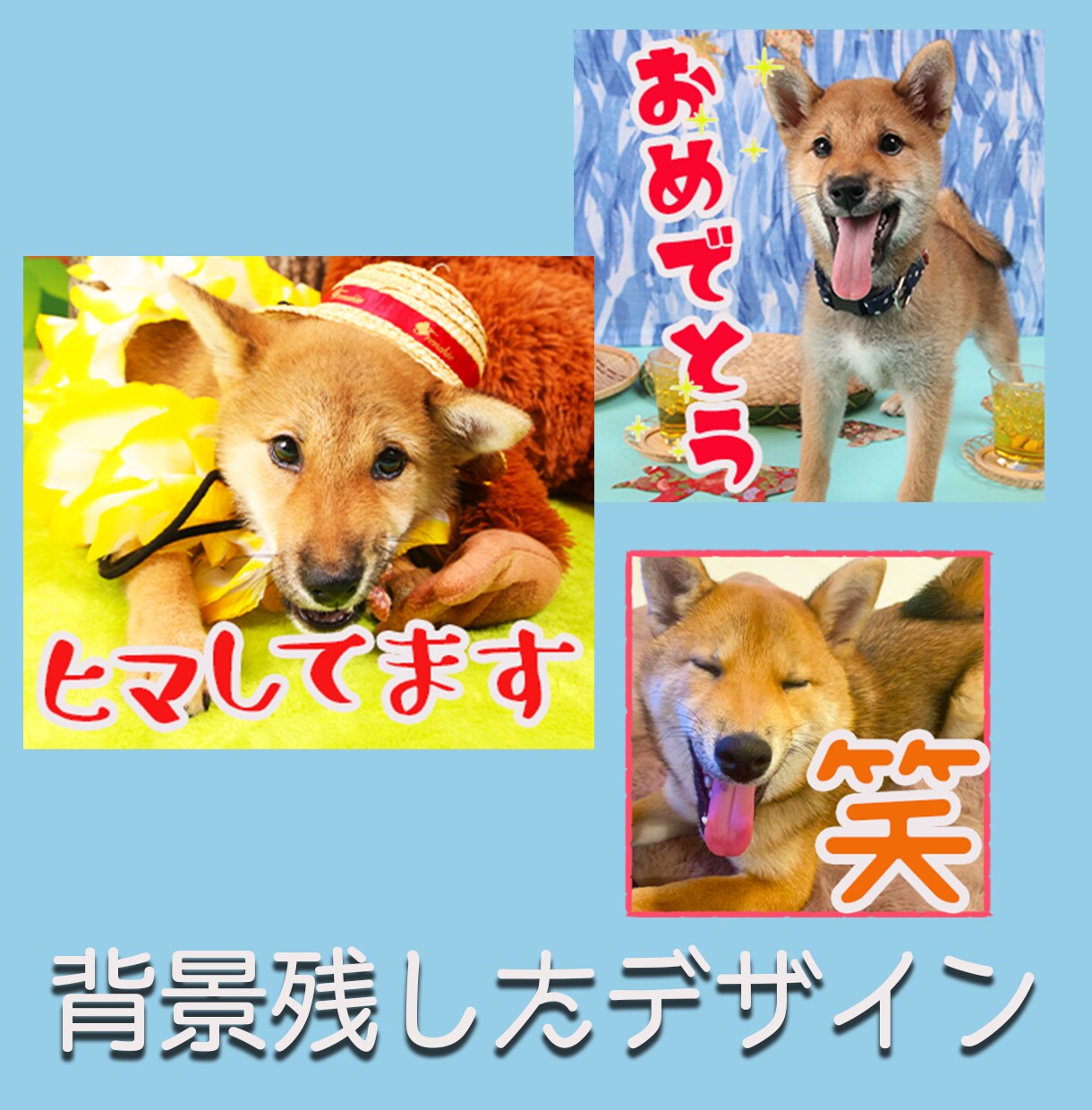 ペットやお子さんの写真でLINEスタンプを作ります 愛犬家のTVディレクターが全力作成！ イメージ4