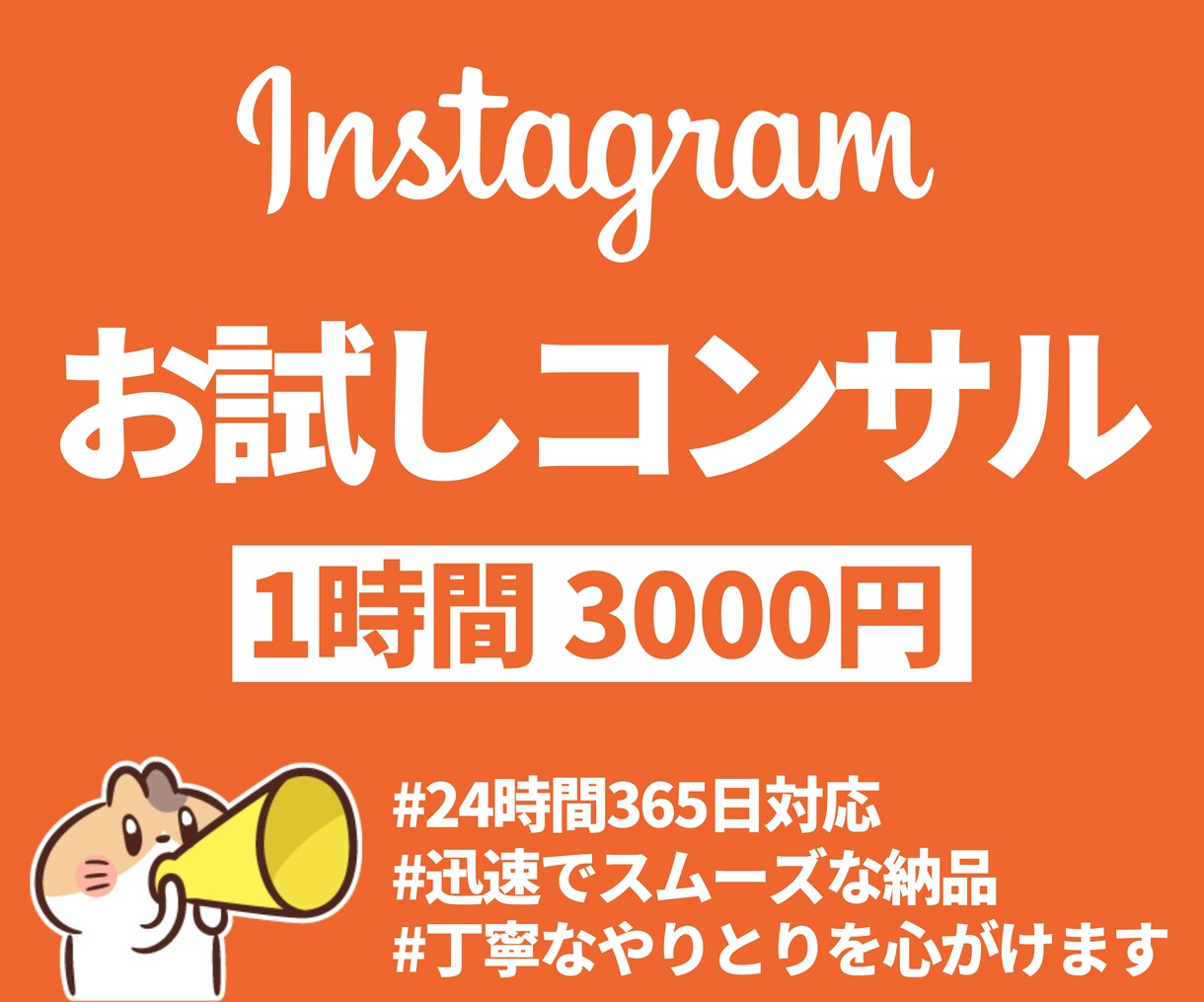1時間インスタグラム運用のお悩み相談を承ります 迷ったらまずは相談！お試し相談でインスタがもっと楽しくなる！ イメージ1