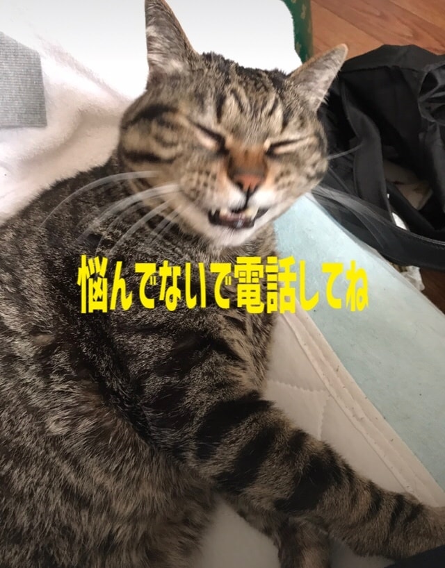 うつ 鬱、双極性障害の方のお話を経験者が聞きます うつのどん底から立ち直った私。ご家族からの相談もOKです♡ イメージ4