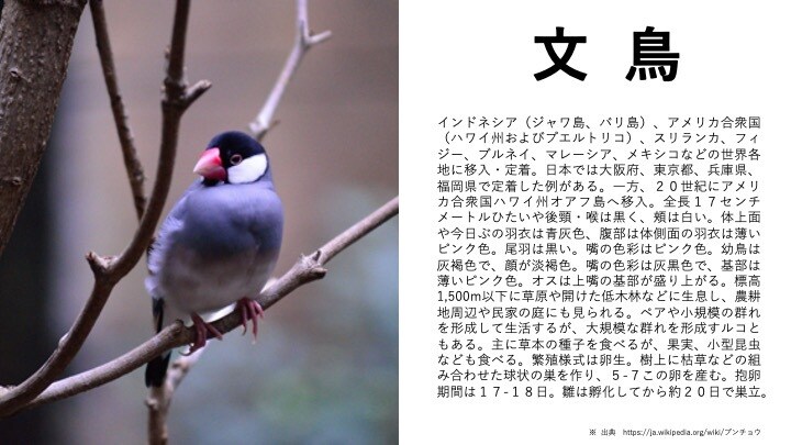 読み手に伝わるプレゼン作ります ビジネス社会で差を付けよう、納得のパワーポイント資料 イメージ6